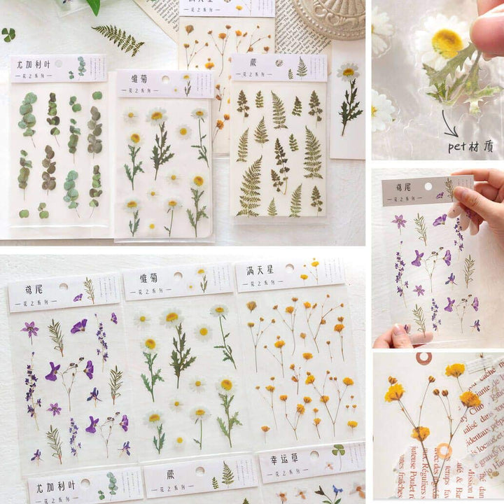 Daisy Iris Flowers Clover Eucalyptus 6 Sheets Transparent PVC Waterproof PET Decals Stickers Pack for Scrapbooking Diary Planner Album journals Phone Case Card Making Laptop Journaling