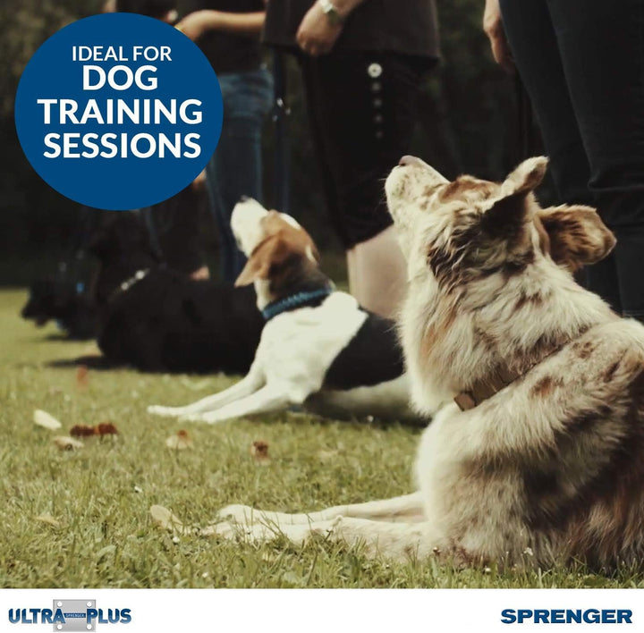 Pet Supply Imports Chrome Plated Training Collar with Quick Release Snap for Dogs, Medium, 3.0mm, 21-Inch