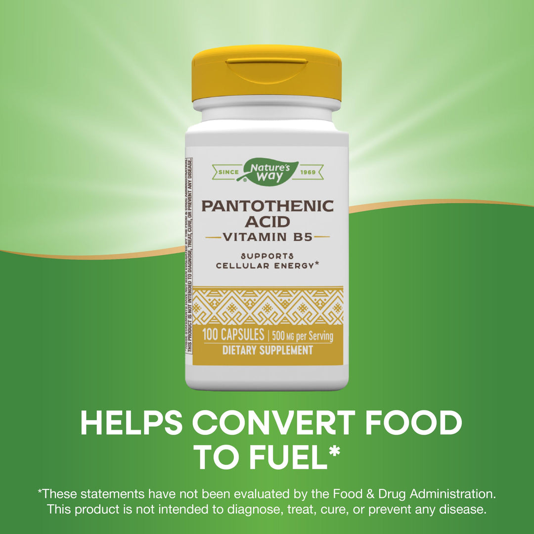 Nature&#39;s Way Pantothenic Acid, Supports Cellular Energy*, 500mg Per Serving, 100 Capsules