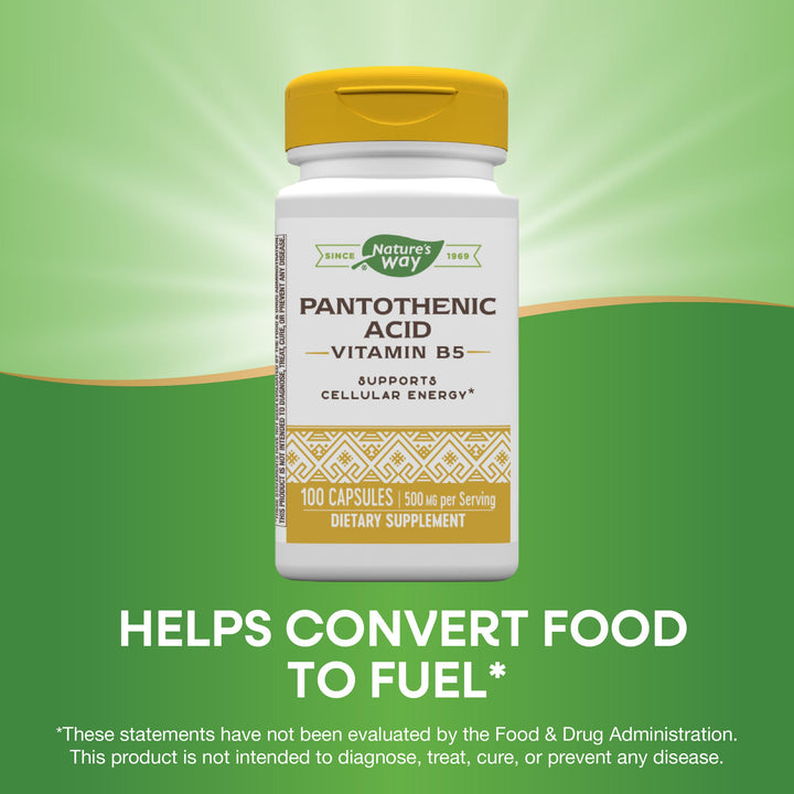 Nature&#39;s Way Pantothenic Acid, Supports Cellular Energy*, 500mg Per Serving, 100 Capsules