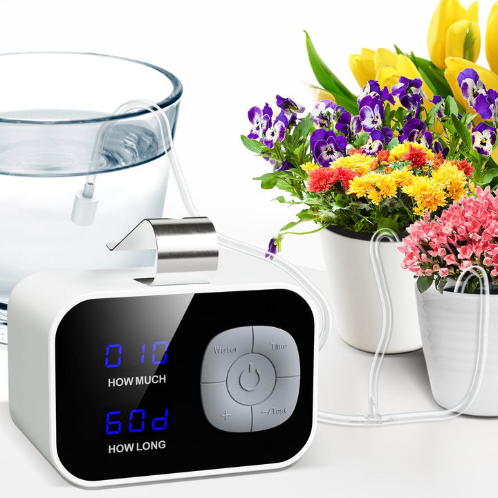 Kollea Reliable Automatic Watering System for Potted Pl