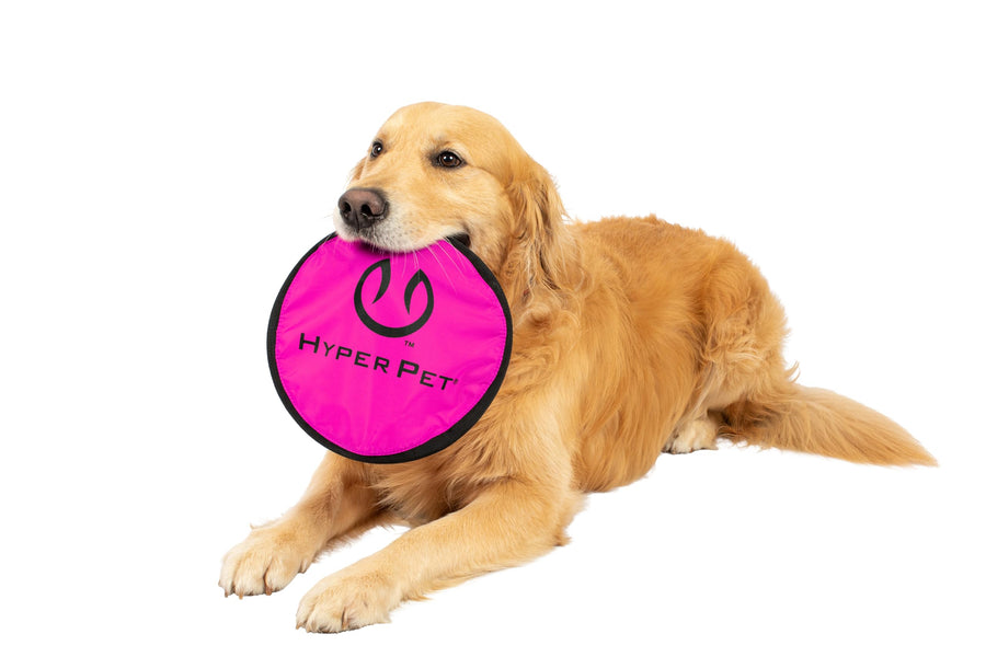 Flippy Flopper Dog Frisbee Interactive Dog Toys [Flying Disc Fetch Toy Floats in Water & Safe on Teeth] (Colors Will Vary), Multicolor, 9