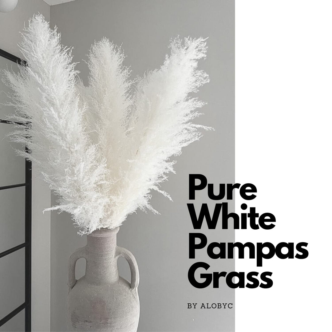 ® Pure White Pampas Grass, White Pampas Grass Decor Tall Fluffy (3 Stems). Tall Pampas Grass 48 inch (120 cm) (4Ft), Giant Pampas Grass, Boho Decor.