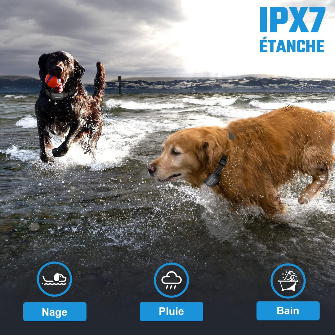 Dog Training Collar with Remote-Rechargeable Shock Collar for Small Large Dogs,3000Ft Control e Collar for Dogs Training with Beep/Vibrate/Safe Shock