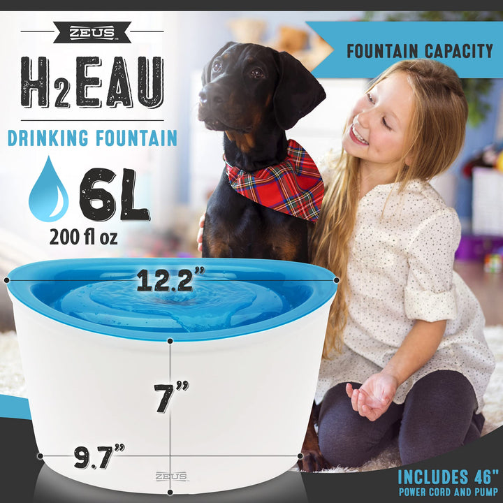 Zeus Fresh &amp; Clear Elevated Dog and Cat Water Dispenser, Large Drinking Water Fountain with Purifying Filter, 6L Capacity, 1 Count (Pack of 1)