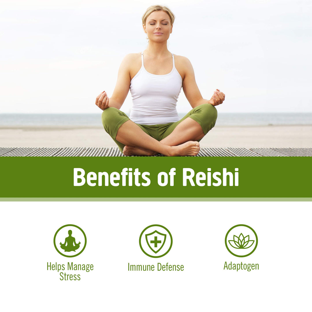 Reishi Organic Mushroom Powder, 3.5 Ounce, 50 Servings, Adaptogen, Stress &amp; Immune Support, Superfood Mushroom Supplement