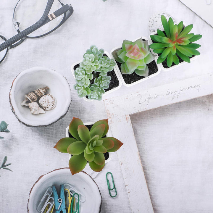 COCOBOO Artificial Succulents in Pots 4pcs Succulents P