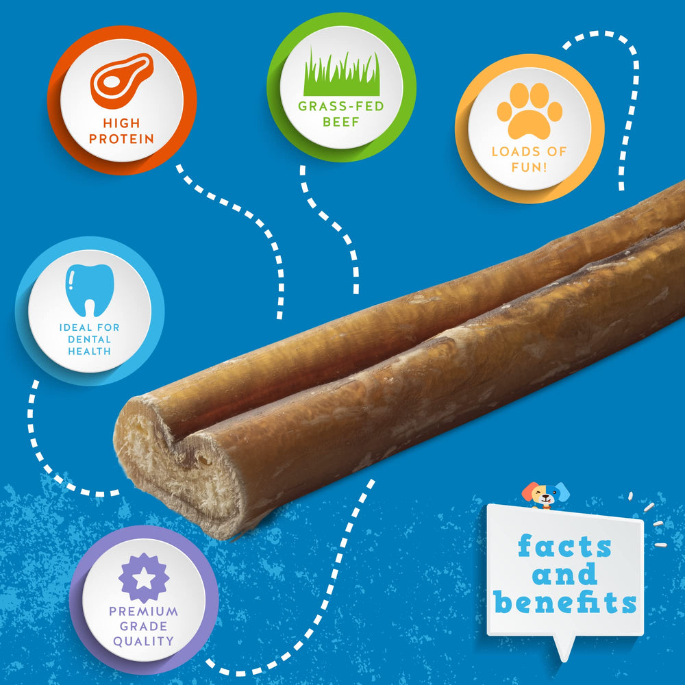 Jack&Pup 6 Inch Bully Sticks for Medium Dogs | Thick Odor Free Bully Sticks Long Lasting | All Natural, 100% Beef Pizzle Sticks (Thick 5, Pack)