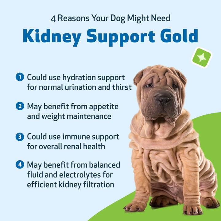 Kidney Support Gold for Dogs - Supports Healthy Kidney Function, Fluid Balance, Energy Levels, Rehmannia, Dong Quai - Veterinarian-Formulated Herbal Supplement 2 oz (59 ml)