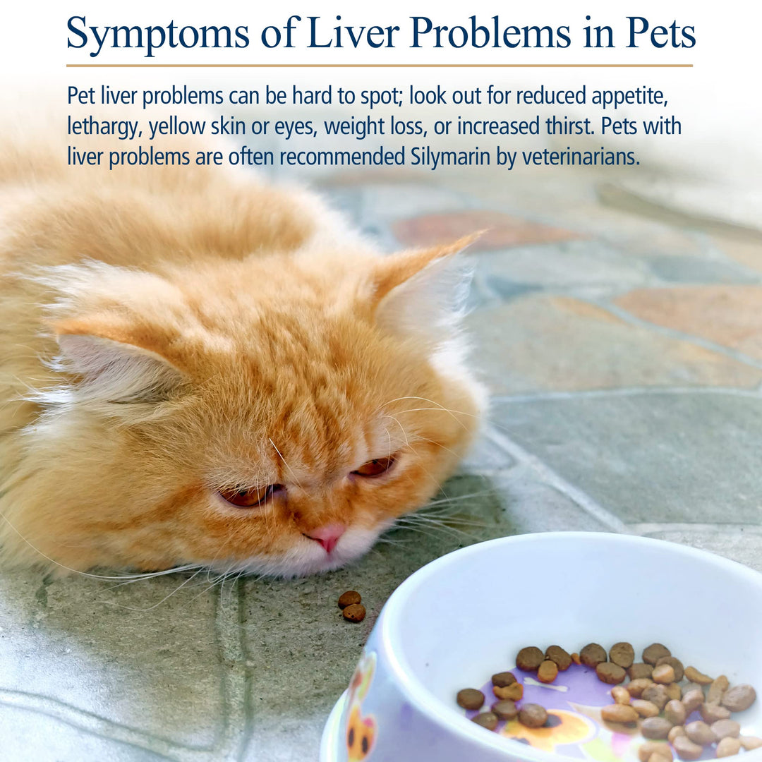 Hepato Support for Dogs &amp; Cats - Milk Thistle Supplement for Pets - 100mg Milk Thistle for Healthy Liver Function - Silymarin Capsules for Pets - 180 ct.