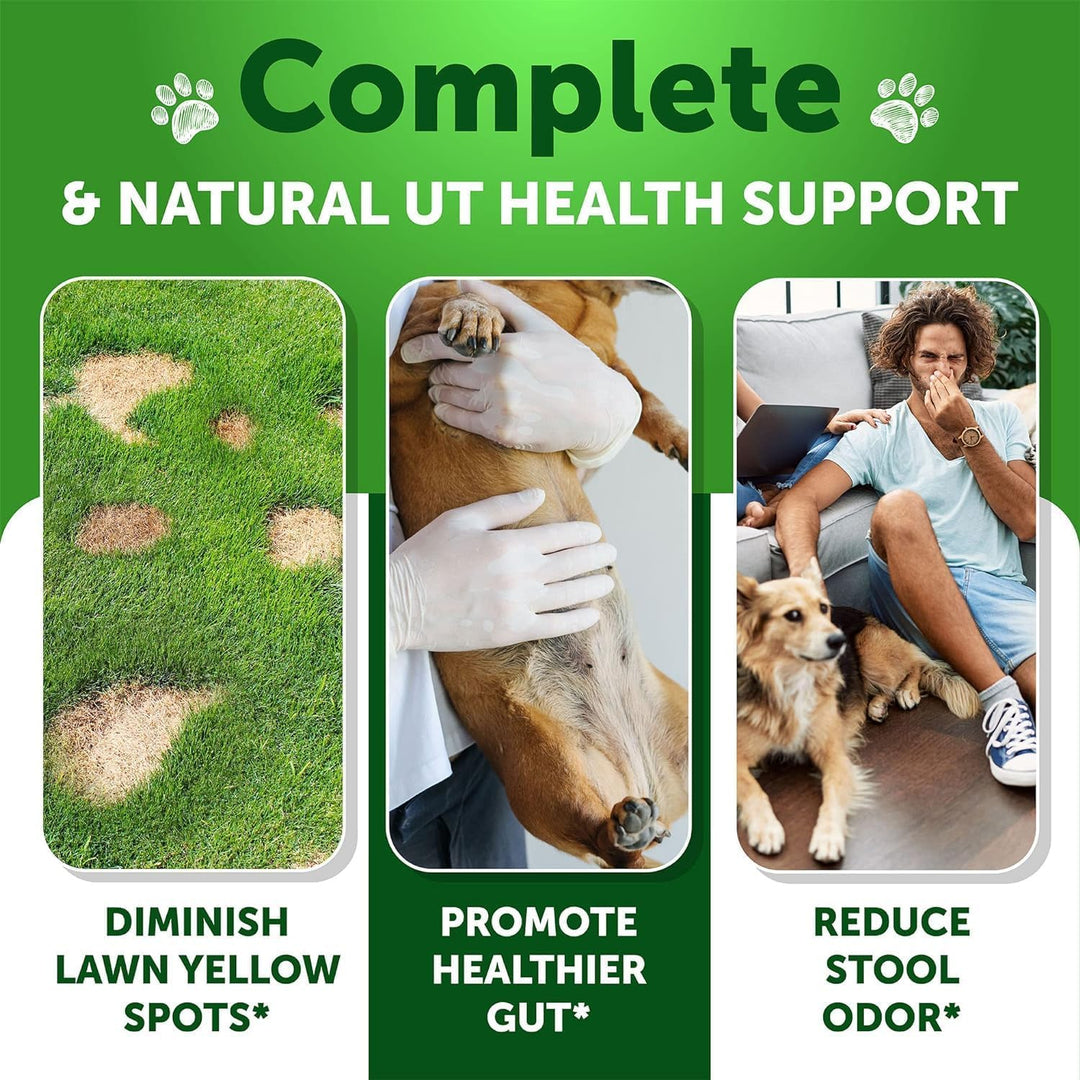 Grass Burn Spot Chews for Dogs - Pee Lawn Spot Saver Caused by Dog Urine - Grass Treatment Rocks - Urine Neutralizer for Green Lawn - Chewable Probiotics, Digestive Enzymes, DL-Methionine - 120 Treats