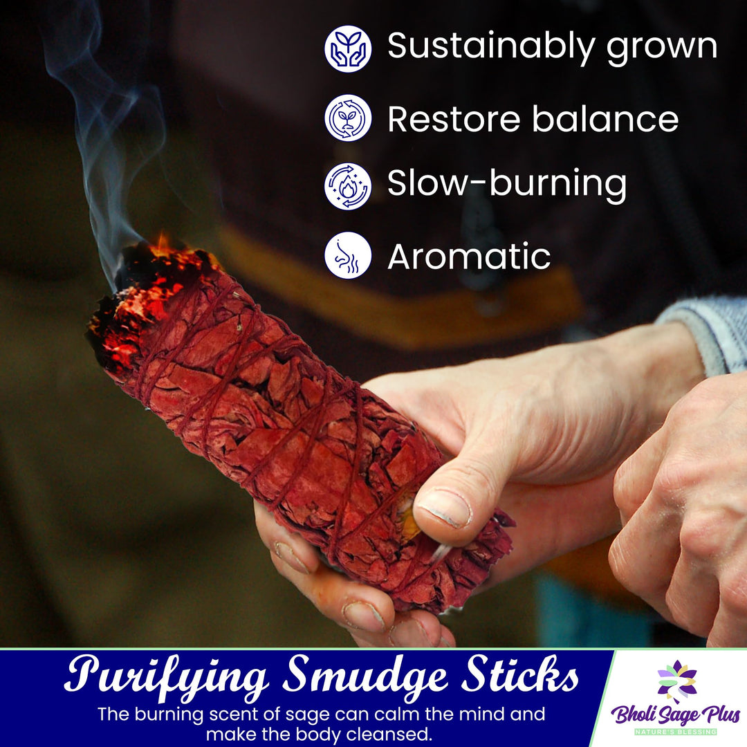 Bholi Sage Plus Sage Smudge Kit for Cleansing Negative Energy and Cleansing Home Sinuata, Dragon Blood, Cinnamon and Triple Flower Dried - 4&#39;&#39; Long Pack of 4 White California Sage Sticks