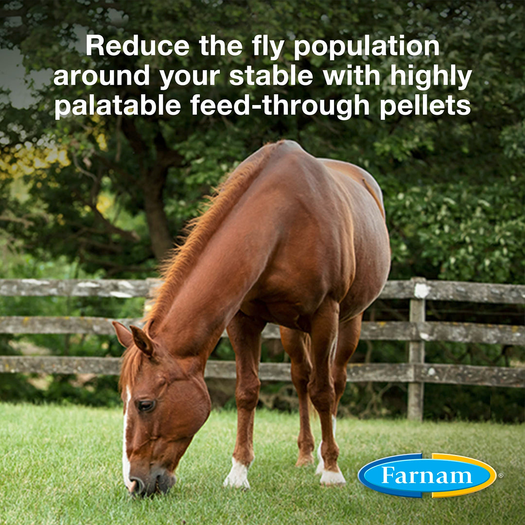 Farnam SimpliFly Feed Through Fly Control for Horses, Breaks the Fly Life Cycle, Pellets, 3.75 Pound Bucket, 60 Day Supply for One Horse
