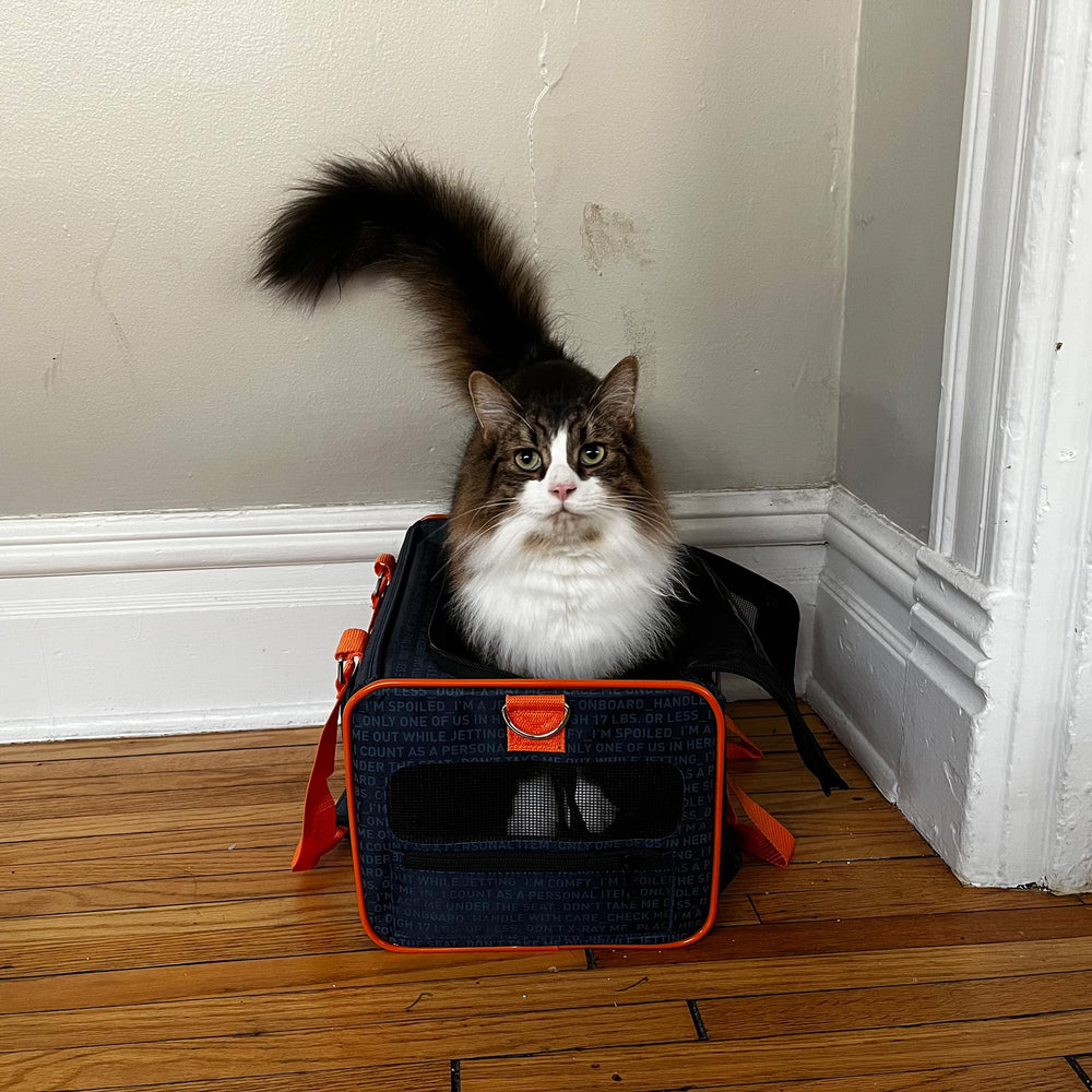 Official Pet Carrier of JetBlue Airlines Blue 16 inches