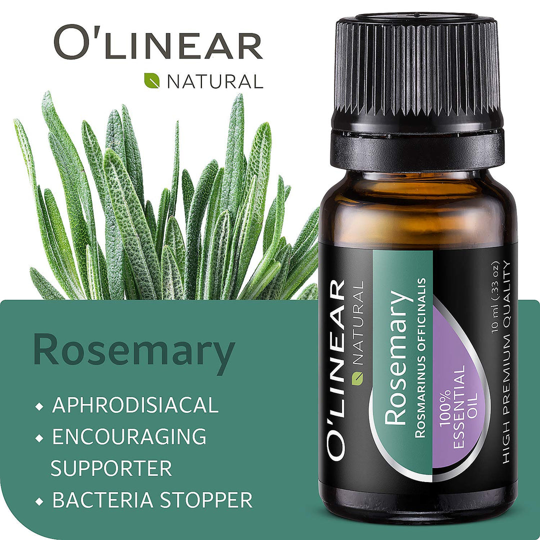 Rosemary essential oil in bottle O'linear 10 ml