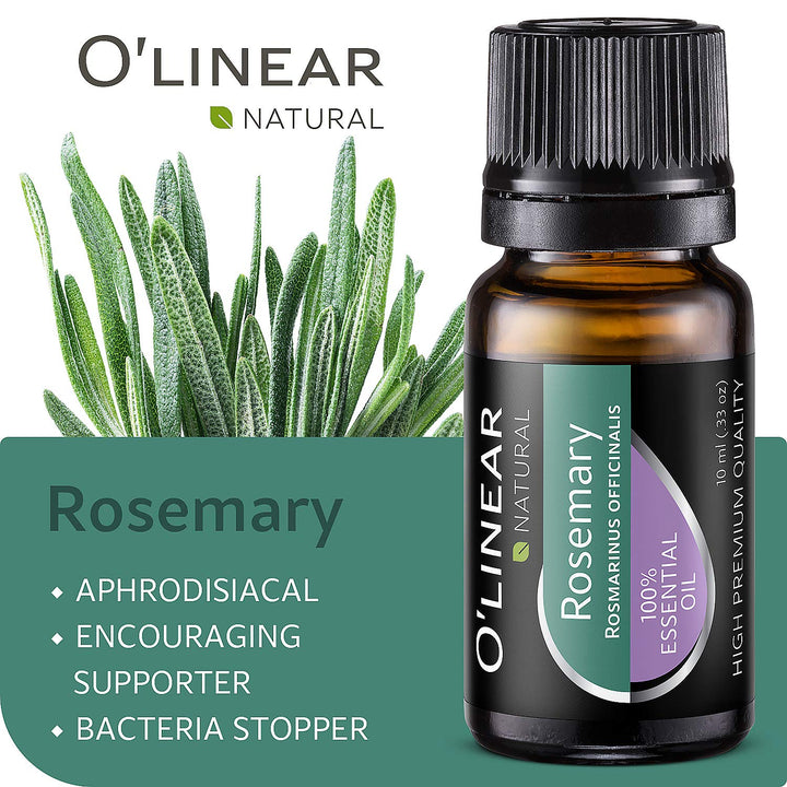 Rosemary essential oil in bottle O'linear 10 ml