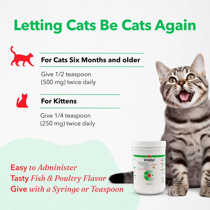 Viralys Daily L-Lysine Powder for Cats and Kittens, Fish Flavored Lysine Supplement for Cats and Kittens to Support Immune Health, Normal Eye Function and Respiratory Health, 600gm