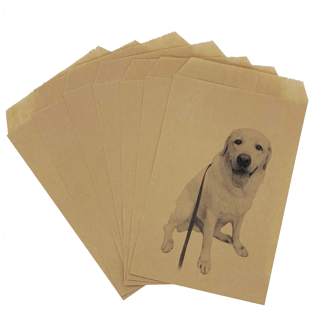 Brown Small Flat Kraft Paper Bags 3x5 for Bakery Cookie