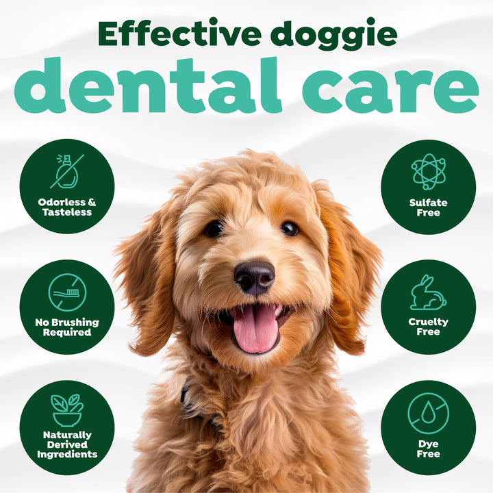 Fresh Breath with Omega 3 &amp; 6 for Skin Health Water Additive for Dogs | Breath Freshener and Teeth Cleaning Solution | 33.8oz.