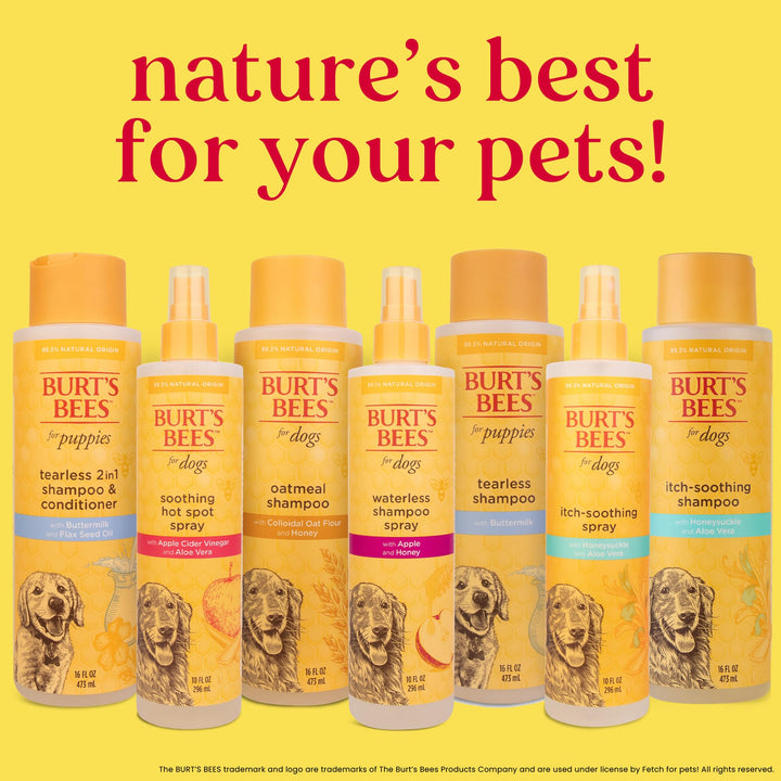 Burt&#39;s Bees for Pets Waterless Shampoo Spray for Dogs with Apple and Honey, 99.1% Natural Origin Formulas, Waterless Dog Shampoo - Gentle Dry Shampoo for Dogs, Best Dog Shampoo, 10 oz