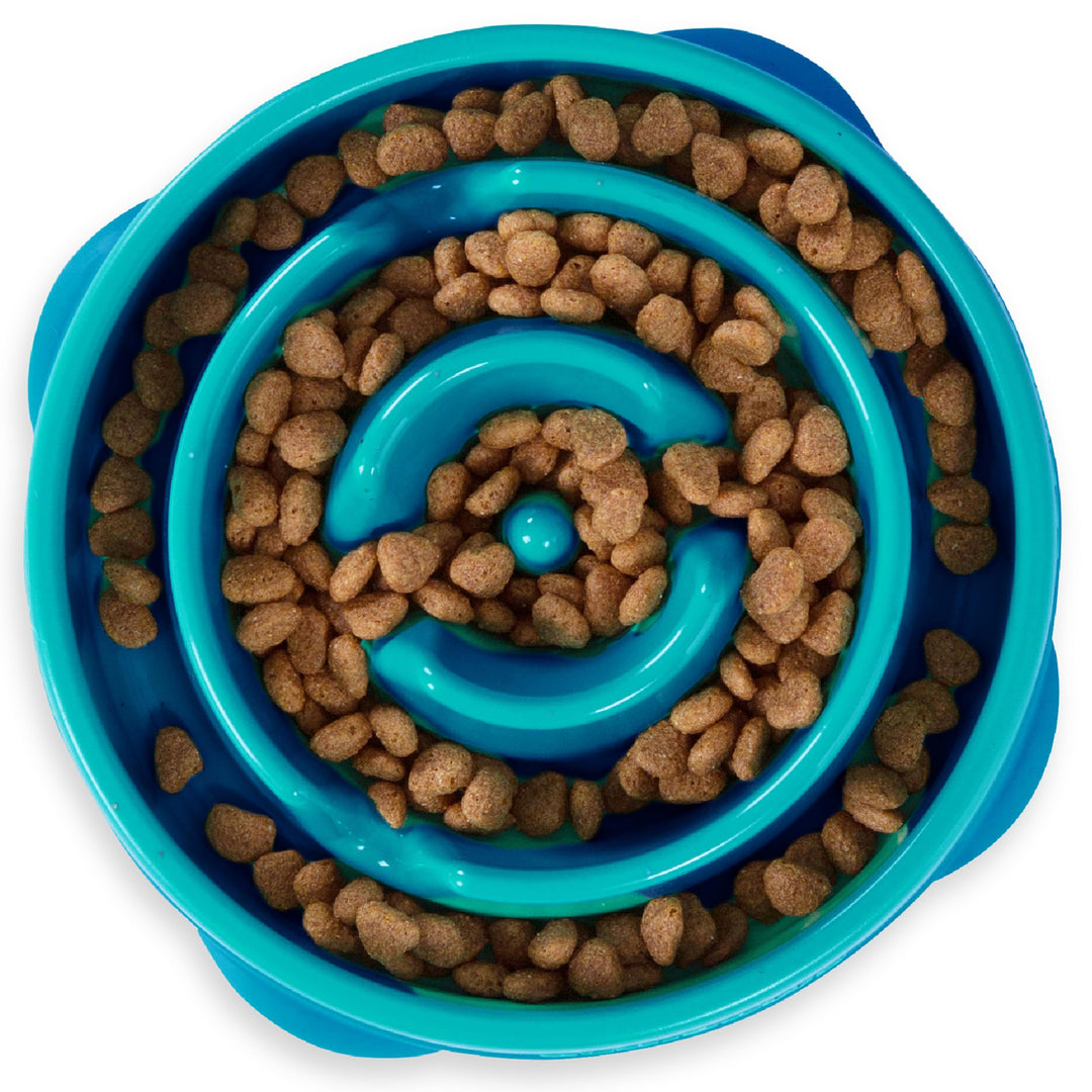 Fun Feeder Slo Bowl, Slow Feeder Dog Bowl, Medium/Mini, Turquoise