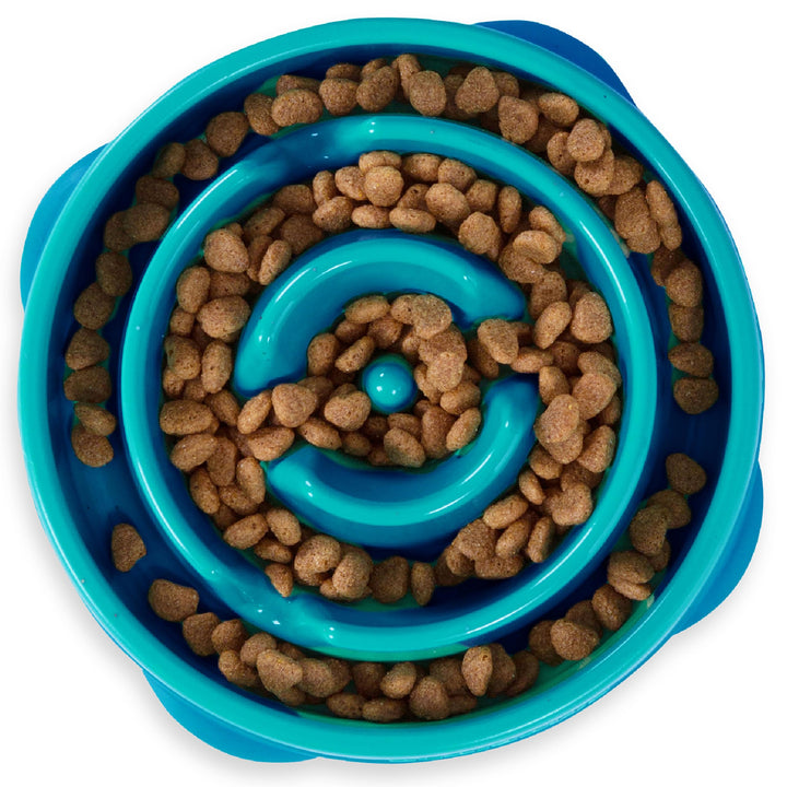 Fun Feeder Slo Bowl, Slow Feeder Dog Bowl, Medium/Mini, Turquoise