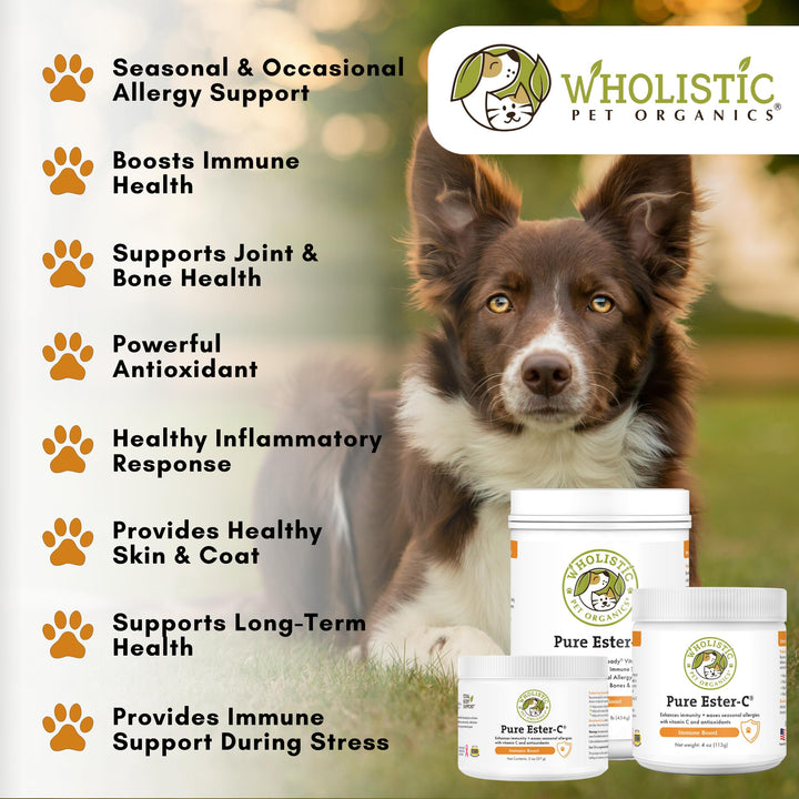 Pure Ester-C Powder for Dogs &amp; Cats - 4 Oz - Vitamin C Supplement for Immune Support, Skin &amp; Coat Health, &amp; Allergy Relief - Dog Vitamin Powder for Itchy Skin &amp; Homemade Food