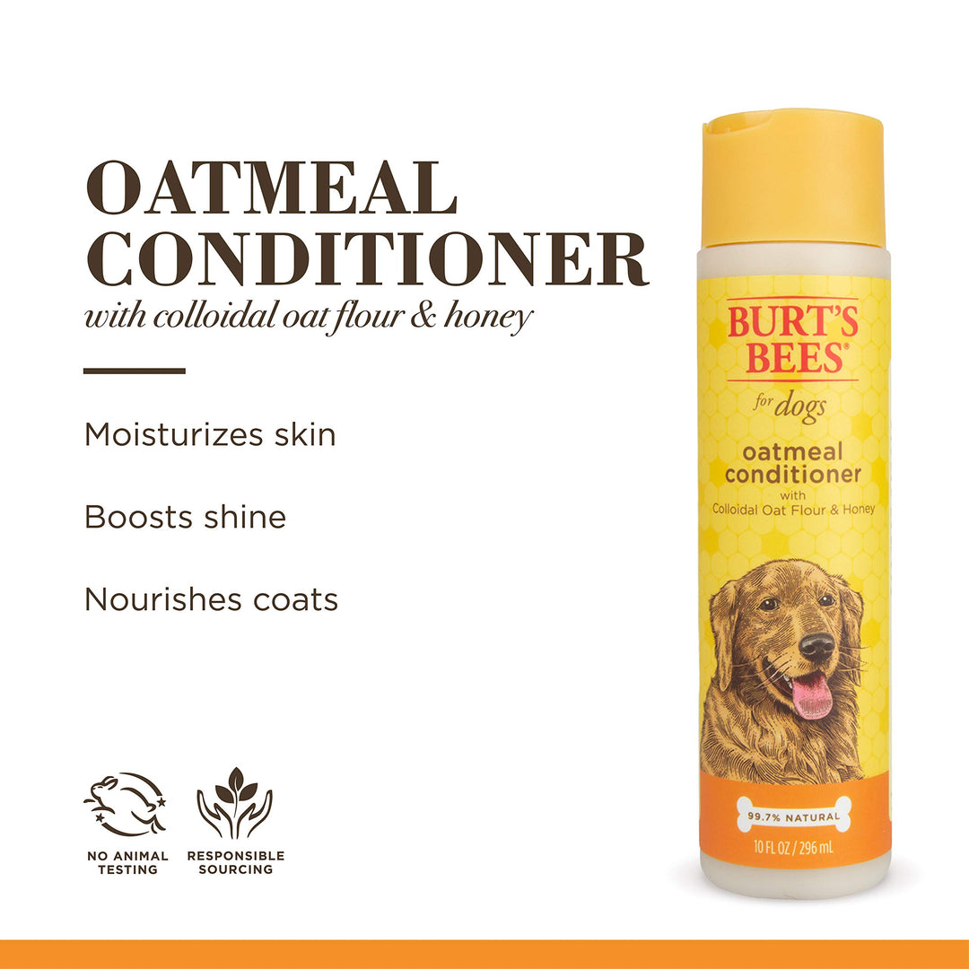 Burt&#39;s Bees for Pets Oatmeal Dog Conditioner with Colloidal Oat Flour and Honey, 95% Natural Origin Formulas, Gentle Dog Conditioner, Best Dog Conditioner for Itchy Dogs, 10 oz