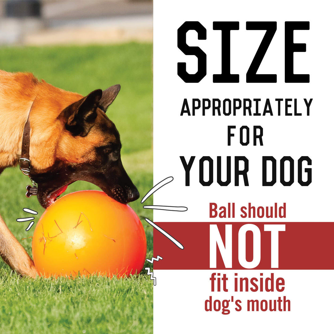 B00CIT99BC Virtually Indestructible Best Ball (hard plastic, colors may vary), All Breed Sizes , 14 inch