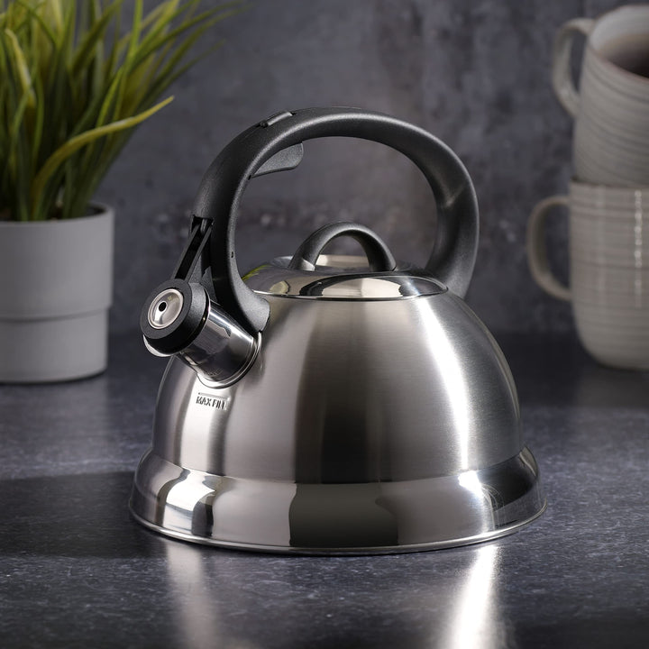 Flintshire Stainless Steel Whistling Tea Kettle, 1.75-Quart, Silver