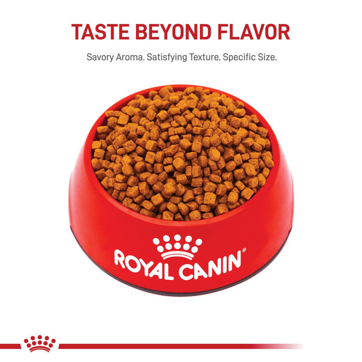 Poodle Puppy Breed Specific Dry Dog Food, 2.5 lb bag