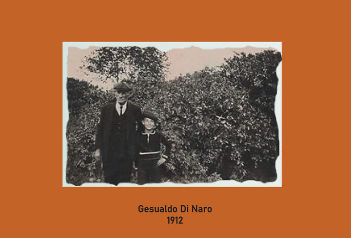 Tarocco Hand Cream - 4 Fluid Ounces