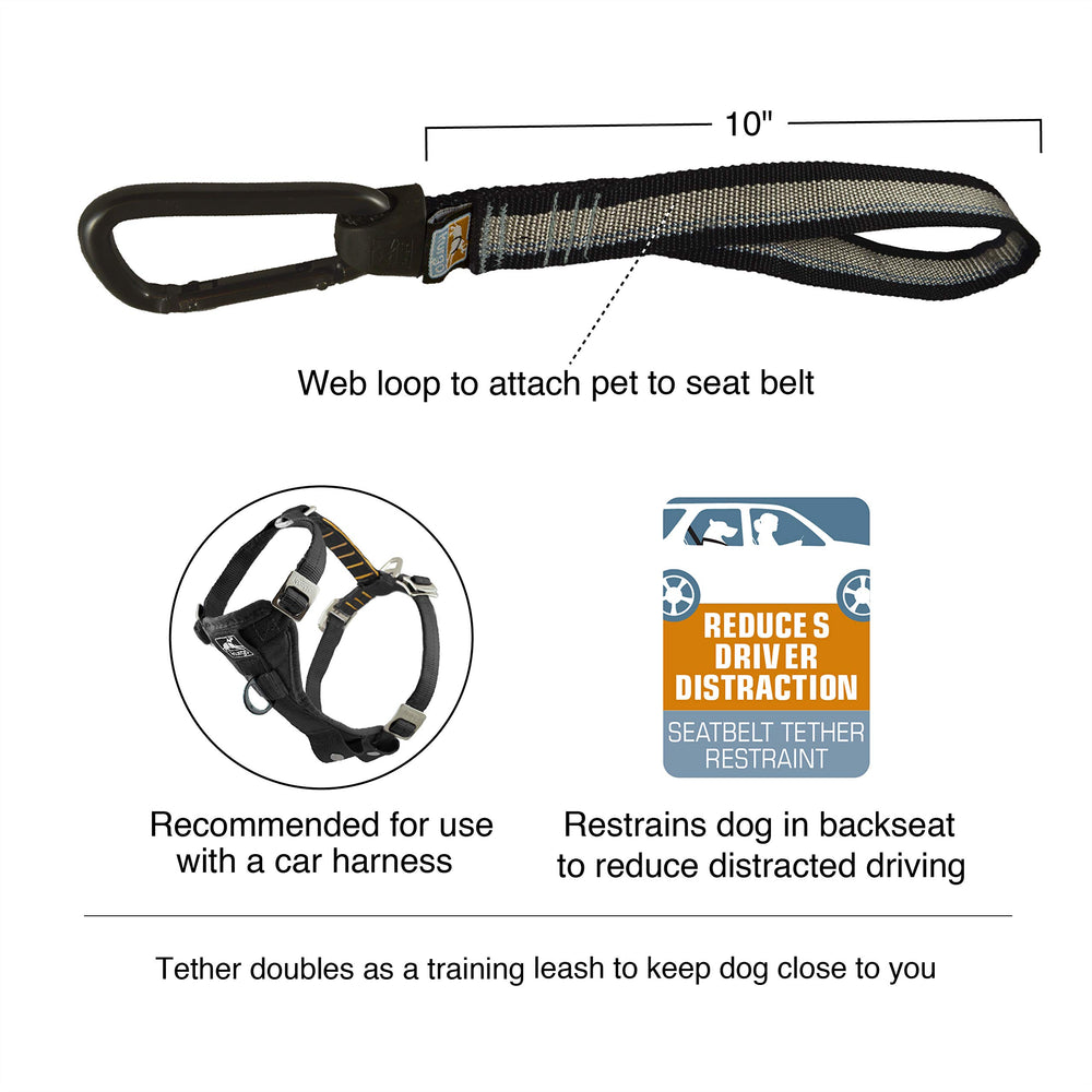 Dog seat Belt Pet Safety Tether with Carabiner, Tru-Fit Enhanced Strength Replacement Tether, Use with Car Safety Dog Harness, seat Belt Tether (Black/Grey)