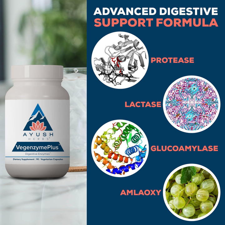 VegenzymePlus - Digestive Enzymes for Women &amp; Men, Enzymes for Digestion with Bromelain, Lipase, Lactase, Protease, 100% Vegetarian Gut Health Supplement - 60 Capsules (1 Count)