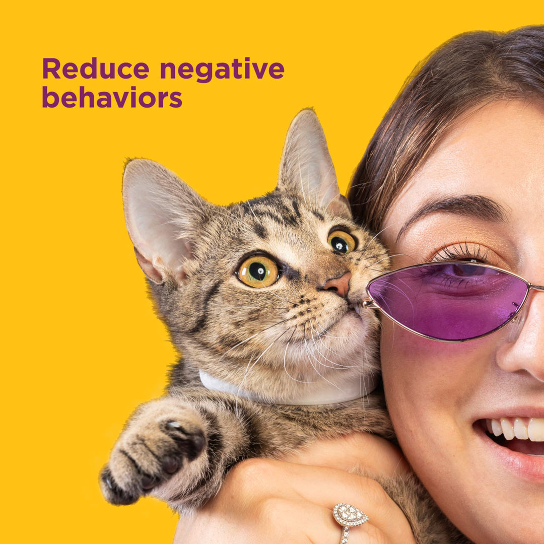 Cat Calming Collar: 2 Pack
