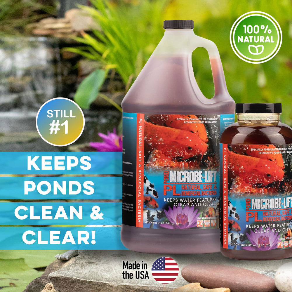 10PLQ PL Pond Bacteria and Outdoor Water Garden Cleaner, Safe for Live Koi Fish, Plant Life, and Decor, 32 Ounces