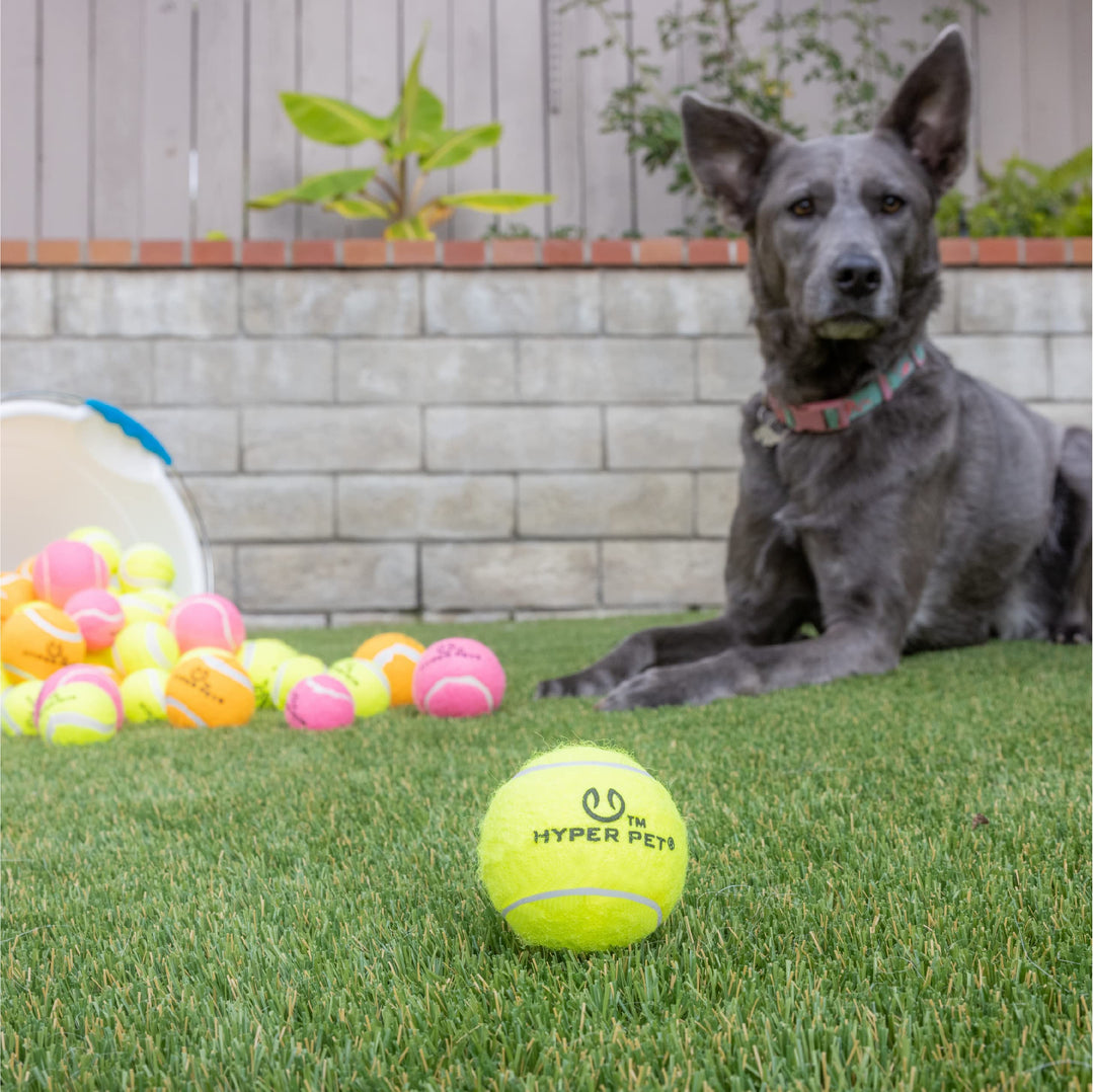 Tennis Balls for Dogs (Safe Dog Ball, Tennis Balls for Exercise &amp; Training) Interactive Toys work with K9 Kannon K2 Dog Ball Launcher - 4 Pack 2.5 Green