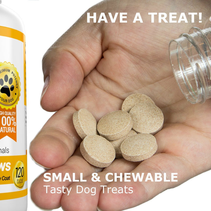Amazing Omega 3 for Dogs - Omega 3 Fish Oil for Dogs Supplement for Itchy Skin Relief for Dry Skin and Hot Spots and Shedding Coat with EPA and DHA Fatty Acids - 120 Bacon Flavor Chews