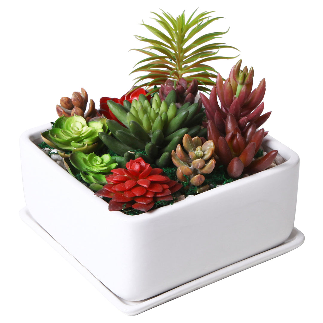 Modern White Ceramic Square Indoor Small Planter, Flower Succulent Plant Pot with Drainage Hole and Removable Drip Tray