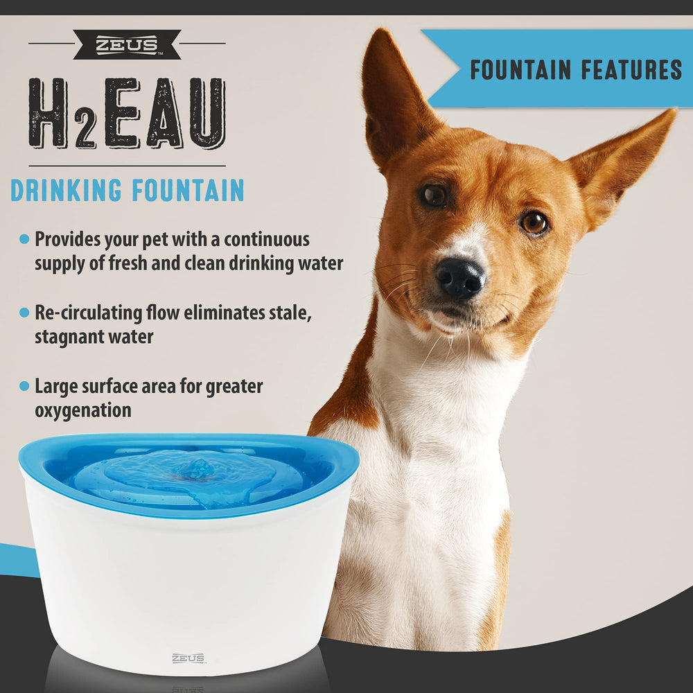 Zeus Fresh & Clear Elevated Dog and Cat Water Dispenser, Large Drinking Water Fountain with Purifying Filter, 6L Capacity, 1 Count (Pack of 1)