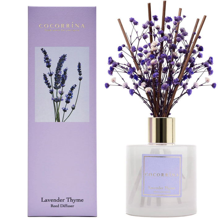 Cocorrína Premium Reed Diffuser Set with Preserved Baby&#39;s Breath &amp; Cotton Stick Lavender Thyme | 6.7oz Scent Fragrance Lavender Oil Diffuser for Bedroom Bathroom Home Décor