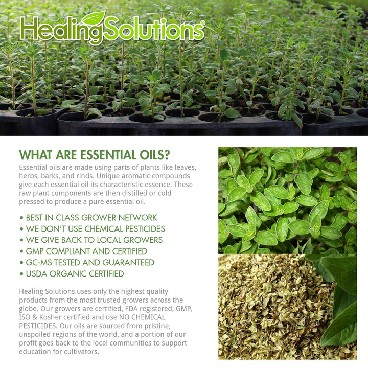 Healing Solutions 10ml Oils - Oregano Essential Oil - 0.33 Fluid Ounces