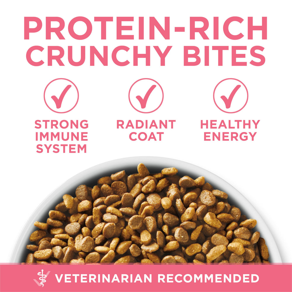 High Protein, Natural Dry Kitten Food, +Plus Healthy Kitten Formula - 16 lb. Bag