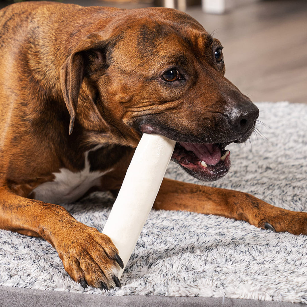 100% Made in USA Beefhide 8 Rolls Dog Chew Treats - Natural Flavor, 10 Count/1 Pack