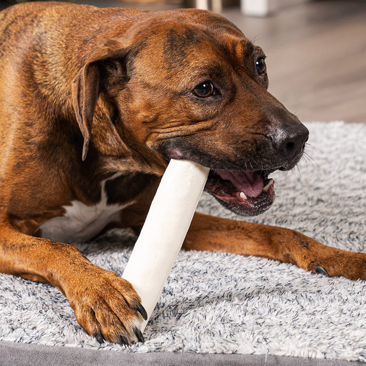 100% Made in USA Beefhide 8 Rolls Dog Chew Treats - Natural Flavor, 10 Count/1 Pack