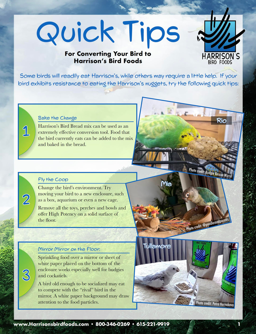 Harrison&#39;s Bird Foods Bird Food High Potency Superfine Certified Organic Non-GMO Bird Food