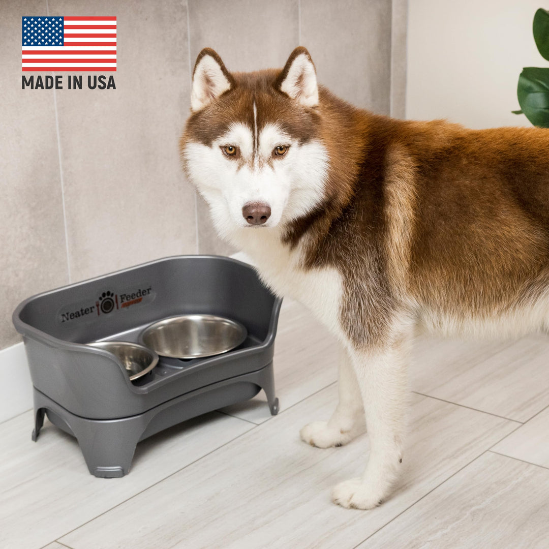 - Express Model - Mess-Proof Dog Bowls (Medium/Large, Gunmetal Grey) – Made in USA – Elevated, No Spill, Non-Tip, Non-Slip, Raised Stainless Steel Food &amp; Water Pet Bowls