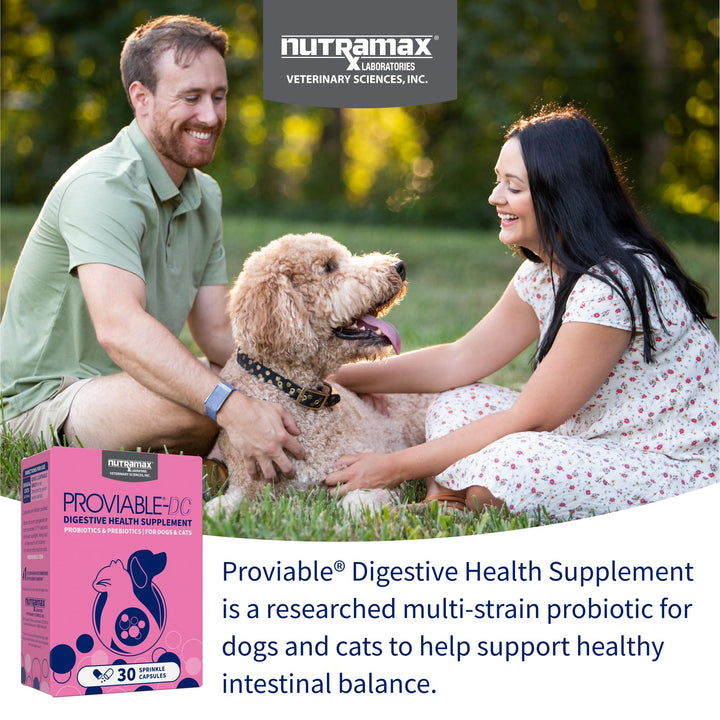 Nutramax Laboratories 30 Count Health Supplement for Cats and Dogs (PROVDC30)