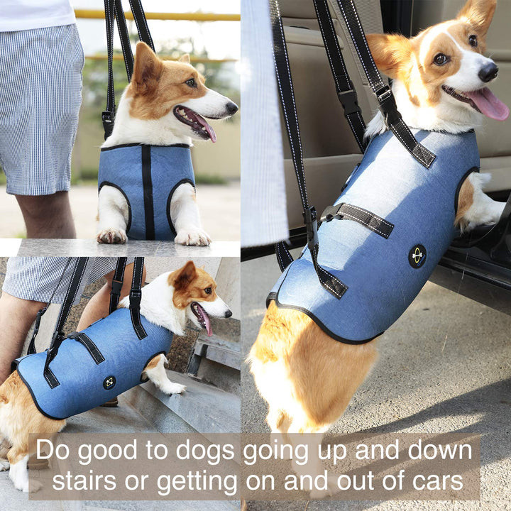 Dog Lift Harness, Pet Support &amp; Rehabilitation Sling Lift Adjustable Padded Breathable Straps for Old, Disabled, Joint Injuries, Arthritis, Loss of Stability Dogs Walk (Blue, S)