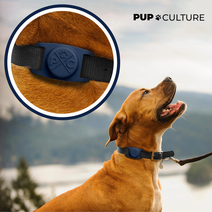 AirTag Dog Collar | Durable &amp; Protective Dog AirTag Holder - Track Your Pet Using Apple AirTag Technology - Dog Collar AirTag Holder -for Dogs and Cats